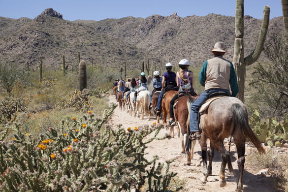 group on a horseback ride in arizona